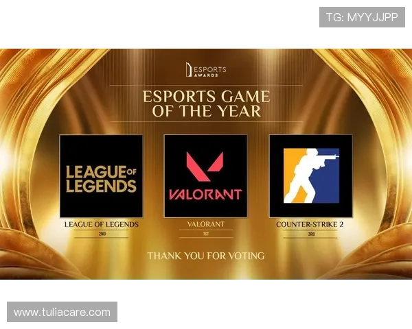 星空体育平台官网下载途径全面解析助你安全便捷获取官方最新版本应用